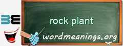 WordMeaning blackboard for rock plant